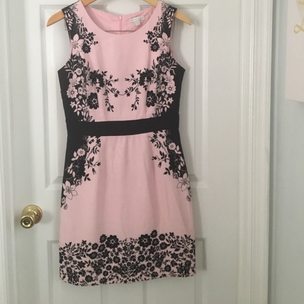 New York & Company size 4